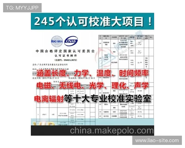 深入了解金冠优惠线路检测服务的优势与特点